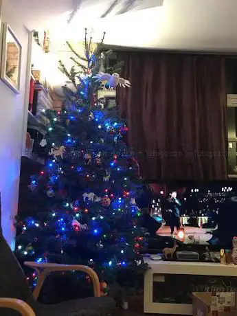 Foto de Pines and Needles