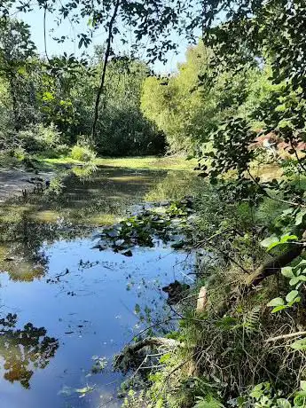 Photo de Warsash Common