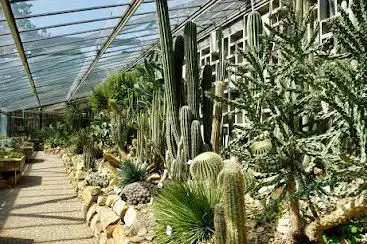 Photo de Old Botanical Garden