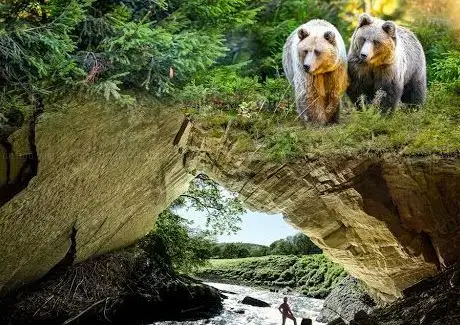 Photo de Domaine des Grottes de Han