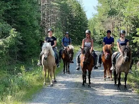 Photo de Riiby Gård Islandshästar