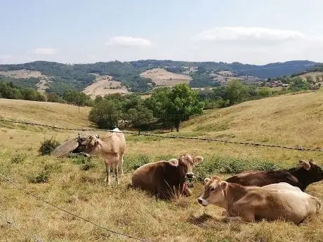 Photo of FERME PEDAGOGIQUE DU BESSY