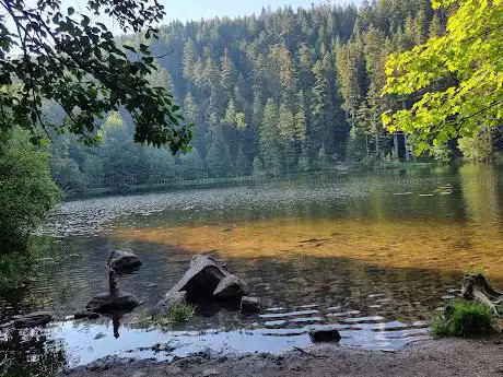 Photo de Lac de la Maix