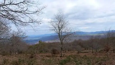 Photo de Cerro Txintxularra