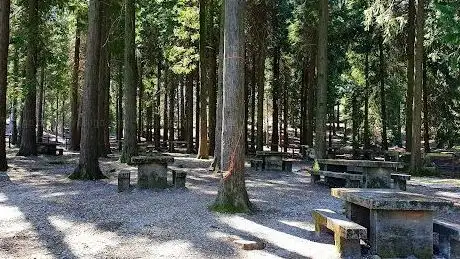 Photo de Parque de merendas da Serradela