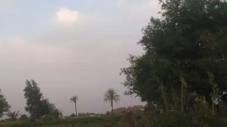 Photo de الجزيرة بلازا