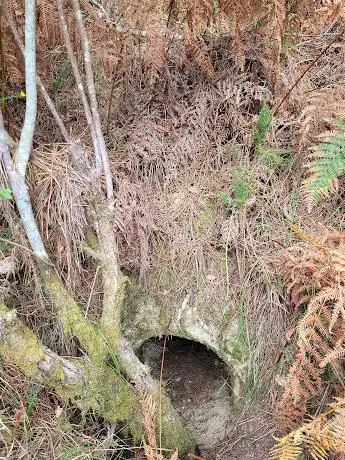 Photo de Cova dos fuxidos