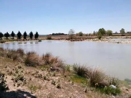 Photo de Laguna de Fontiveros