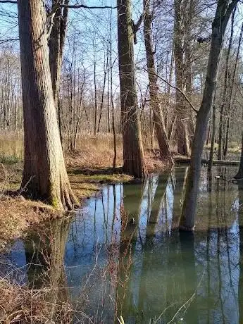 Photo of Egenhovenbos