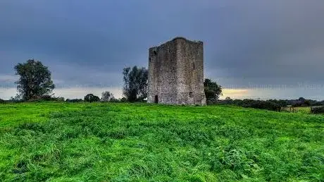 Photo de Donore Castle Ruins