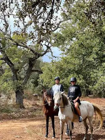 Photo de PADDOCK PARADISE RONDA . Actividades ecuestres en la SerranÃ­a de Ronda