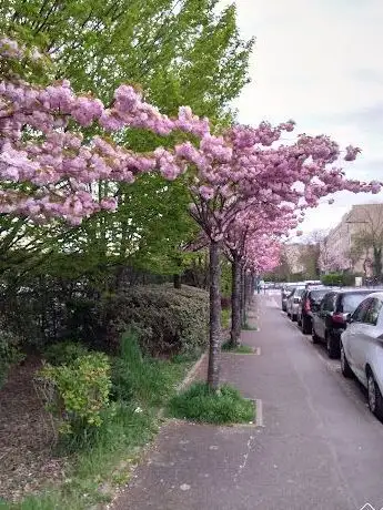 Photo of Skatepark de Fontenay Le Fleury