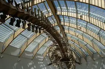 Photo de Hungarian Natural History Museum