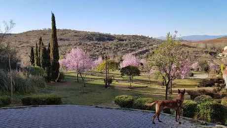 Photo de Antonio Machado Park