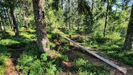 Photo de Härnö Trail Kidz