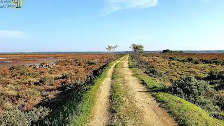 Photo de Sendero Caño de Melilla Honda
