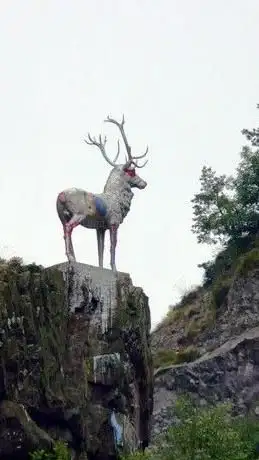 Photo de Hirschsprung