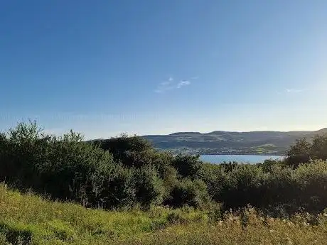 Photo of Straidkilly Nature Reserve