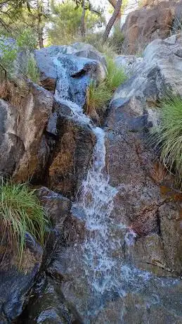 Photo de Pico De Los Reales