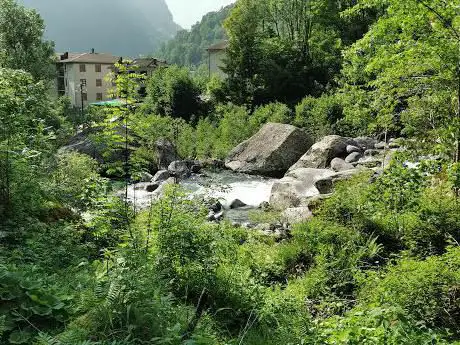 Photo de Foresta dei Bagni di Masino