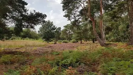 Photo de The National Trust