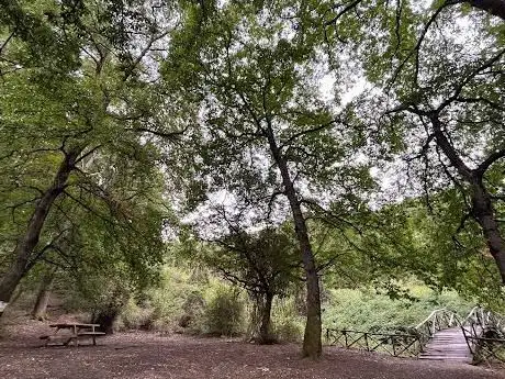 Photo de Parco trentani