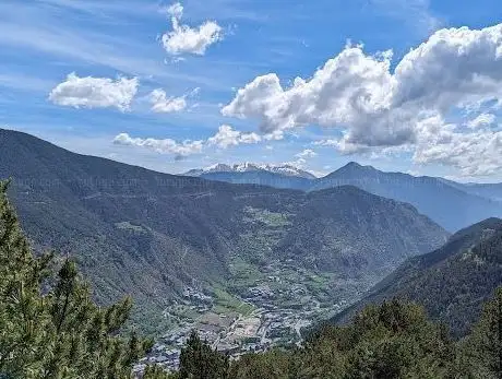Photo of Mirador del bosc de les Allaus