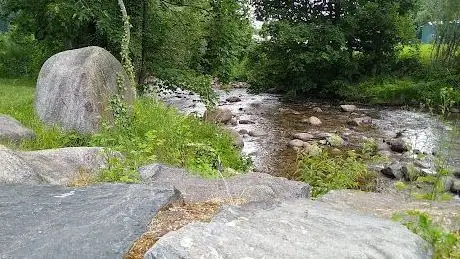 Photo de Naturbadestelle an der Gutach