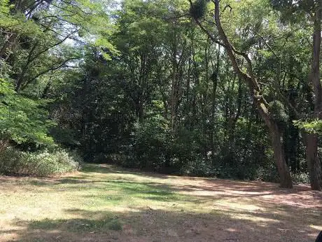 Photo de Bois Regional de Verneuil