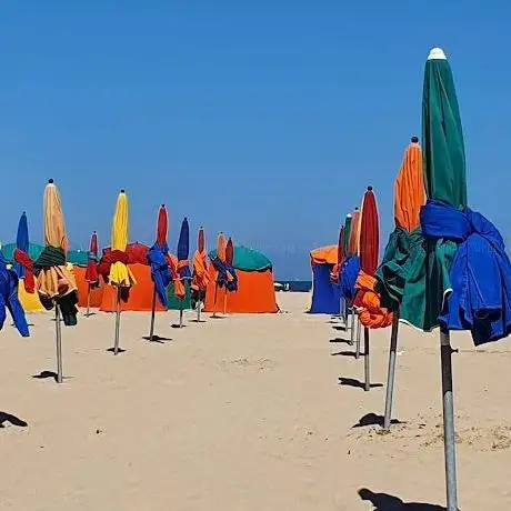 Photo de Plage de Deauville
