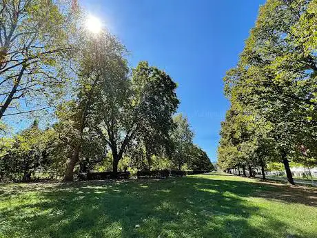 Photo de Parco Dora