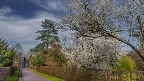 Photo de Botanic garden in Süd Park