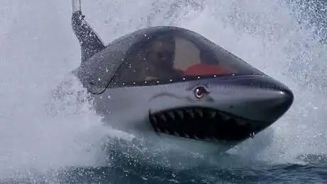 Photo de Radikal Shark- Estartit
