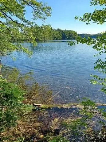 Photo de Aussichtspunkt am See (Parkplatz)