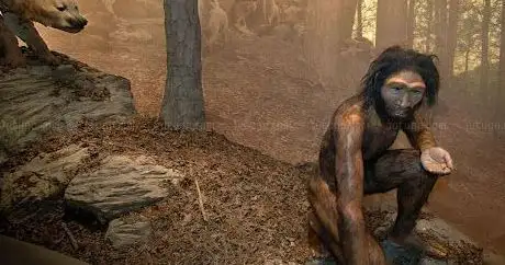 Photo de Monaghan Caveman Exhibition.