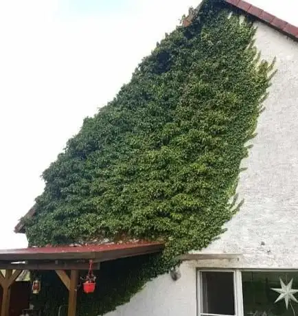 Photo de Mobile Hausmeisterei Julia Schwethelm