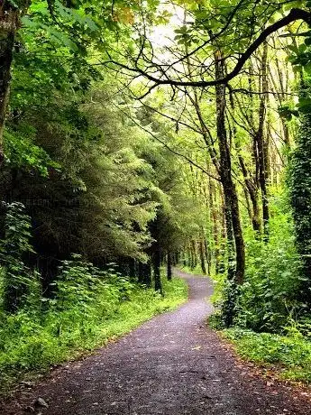 Photo de Baggot Estate Nature Park