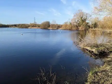Photo of RSPB Rye Meads