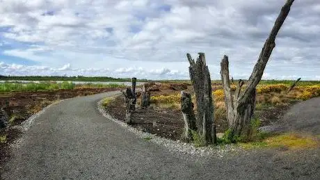 Photo de Corlea Bog Amenity Walk