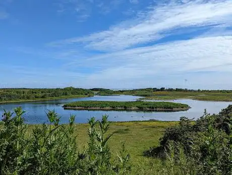 Photo de Hauxley Wildlife Discovery Centre