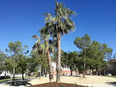 Photo de Plaza de GarcÃ­a Sola