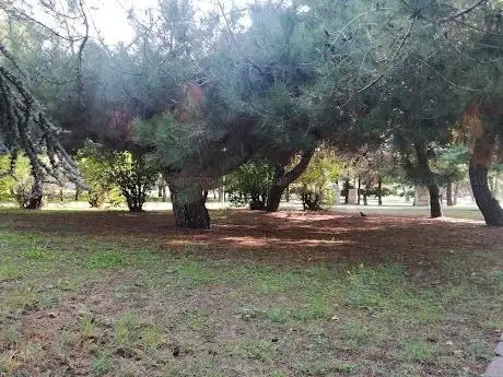 Photo de Ataköy yürüyüş parkuru