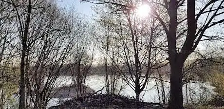 Photo de Martinsee