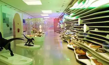Photo de Museu de História Natural de Sintra