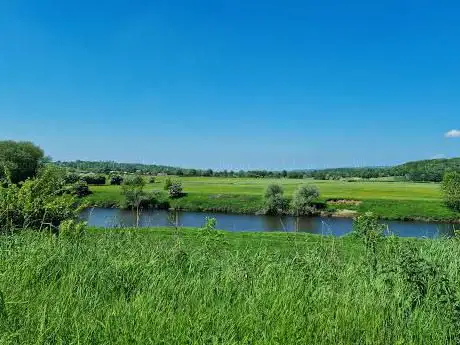 Photo de Brockholes