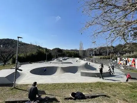 Photo of Skatepark de Jalday