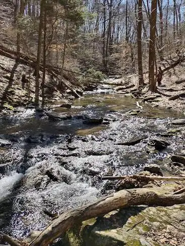 Photo de Steinman Run Nature Preserve