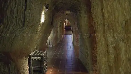 Photo de Museo del Vino de Valdevimbre