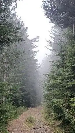 Photo de KAZDAĞI MİLLİ PARKI