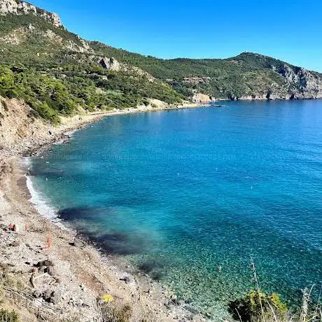 Photo de Spiaggia Lunga